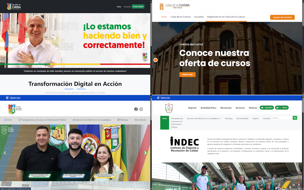 Diseño Web Gubernamental